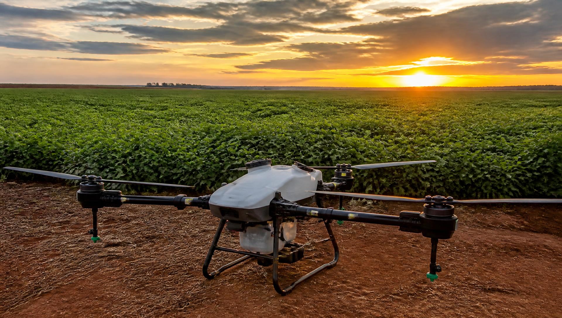 Drone agrícola DJI Agras pronto para operação à beira de uma lavoura de soja no fim da tarde